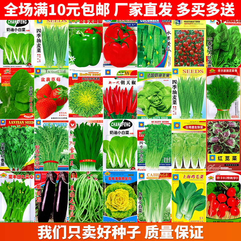 蔬菜种子阳台农家院四季盆栽田园生菜菠菜葱油菜韭菜萝卜白菜包邮