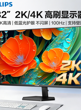 飞利浦31.5英寸2k100hz显示器直面屏IPS办公设计双屏32E1N3500