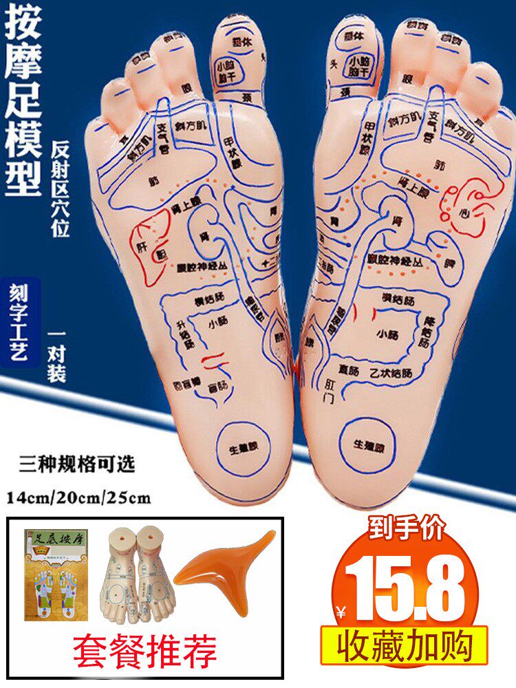 19cm足穴按摩器足疗足底脚部经络穴位反射区图刻字推拿教学足模型