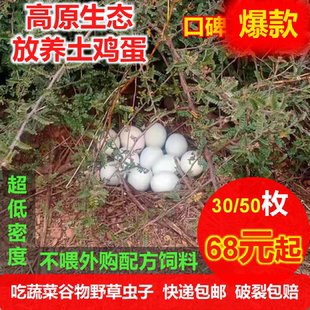 正宗土鸡蛋30枚50枚生态山林超低密度放养无激无抗宝宝孕妇柴鸡蛋