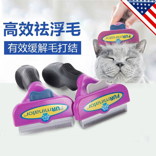 猫梳子毛蓝银渐层英短美短梳子