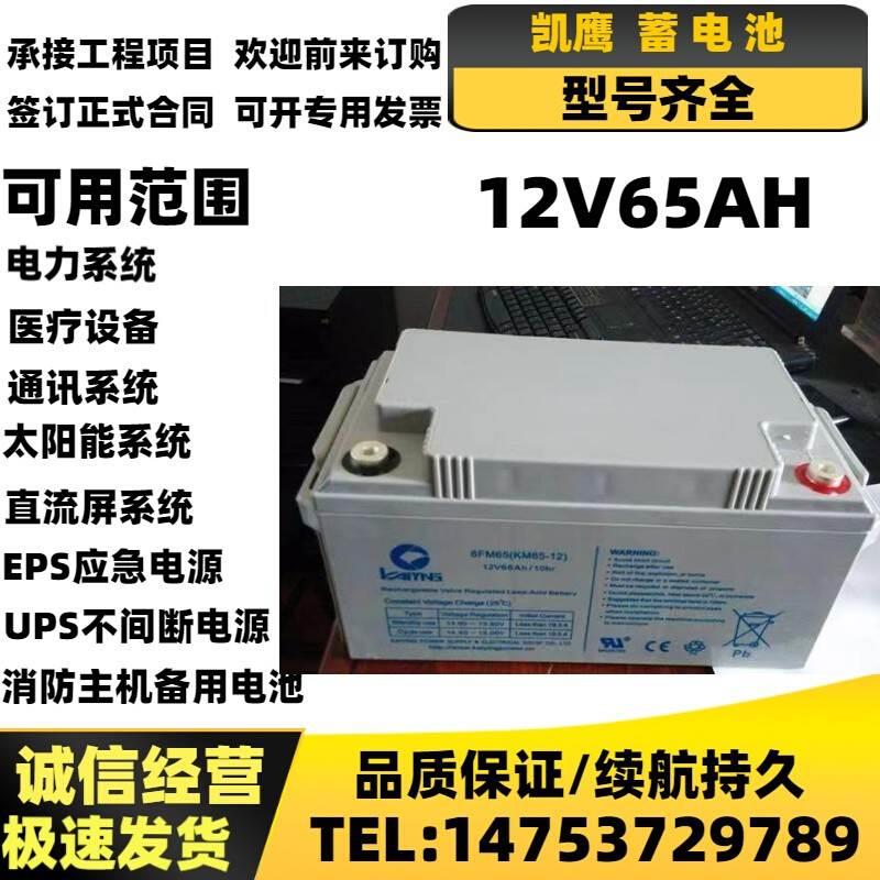 非实价议价议价KAIYING凯鹰蓄电池6FM65KS-12消防UPS/EPS电源12V6