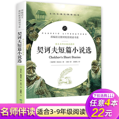 契诃夫短篇小说选世界经典文学