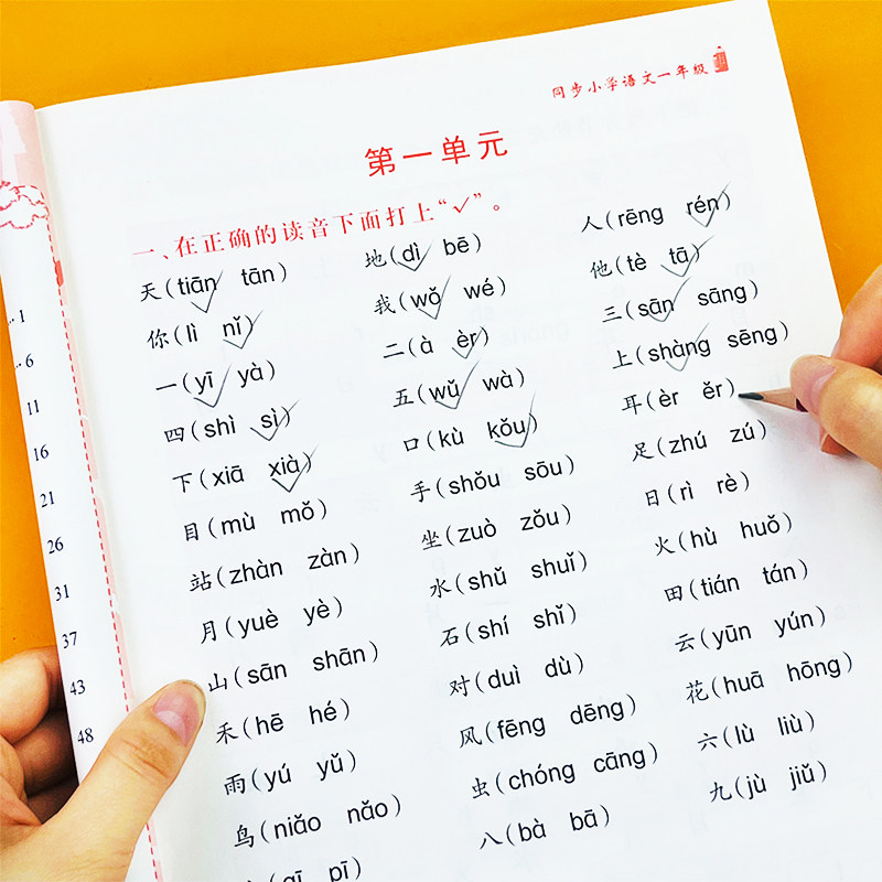 读音选择幼小衔接拼音拼读训练学前班教材一日一练 幼儿拼音声调练习