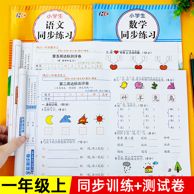 一年级上册同步训练+试卷