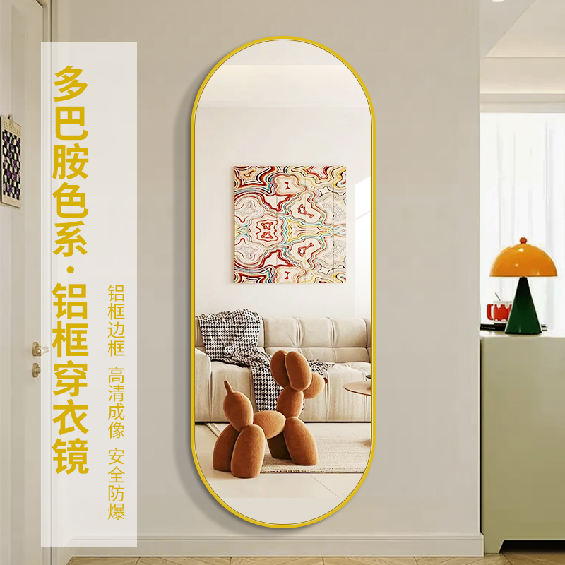 【顺丰送货上门】多巴胺色全身镜