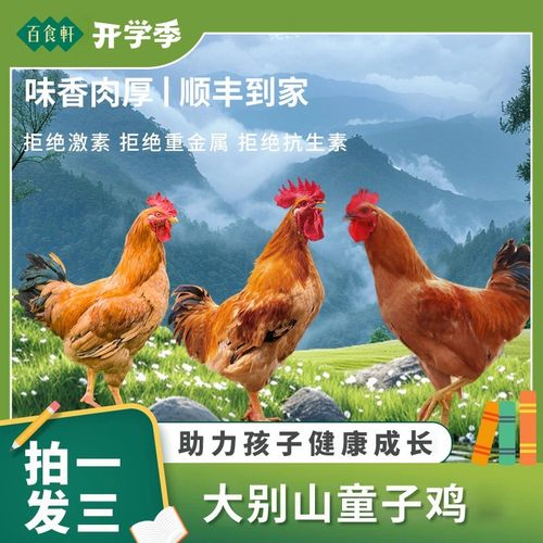 安徽大别山农家生态童子鸡 整鸡 净重6斤左右/3只