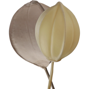 橡胶球胆气体采气取样乳胶球胆加厚气囊密封好氮气矿井气体采样袋化学实验室用品耗材