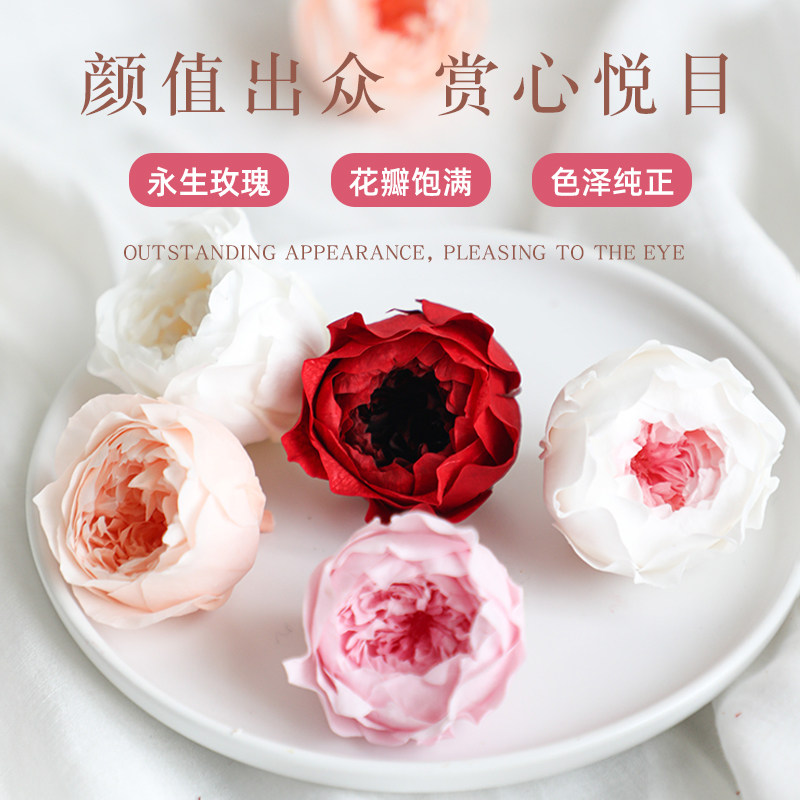 3-4cm永生花奥斯汀玫瑰保鲜真花花材手工母亲节礼品小玫瑰材料diy