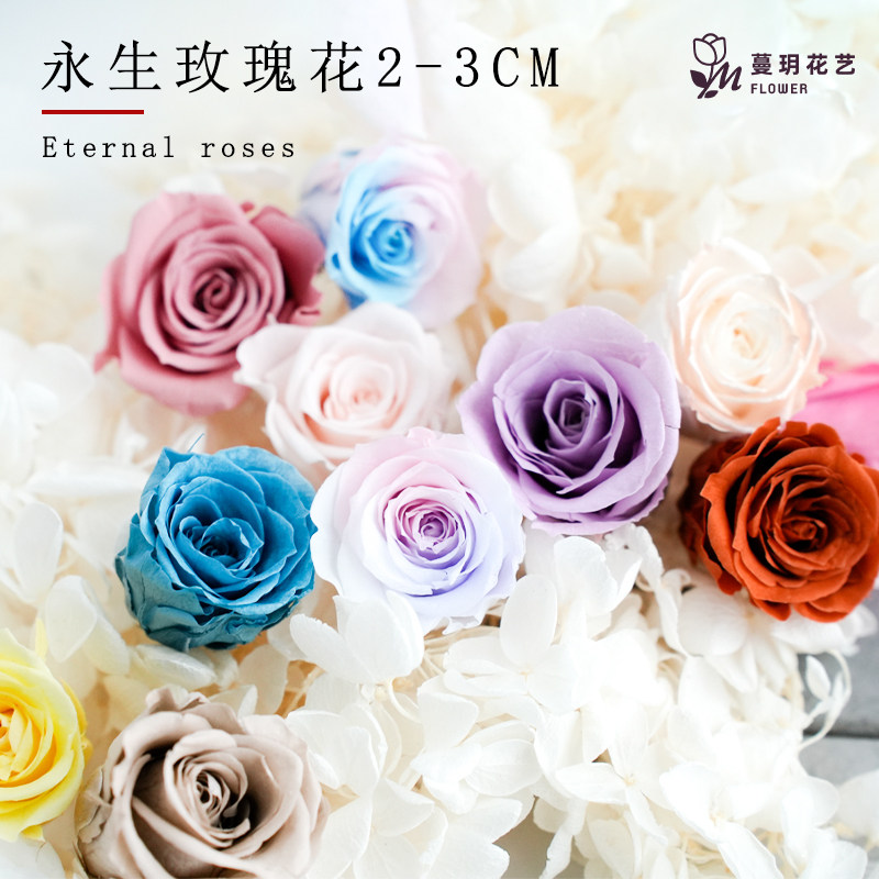 国产永生花小玫瑰单朵2-3cm
