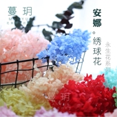 蔓玥 安娜小叶绣球diy材料花材永生花1g保鲜花材料包diy手工花
