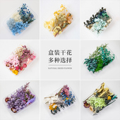 干花花材包 混装 花盒装 DIY手工团扇材料包压花相框沙龙活动