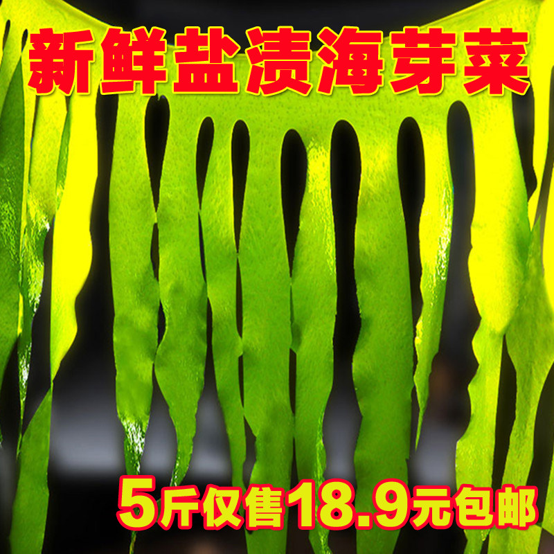 裙带叶5斤新鲜盐渍火锅食材三秒烫海芽菜凉拌薄嫩裙带边海裙带菜