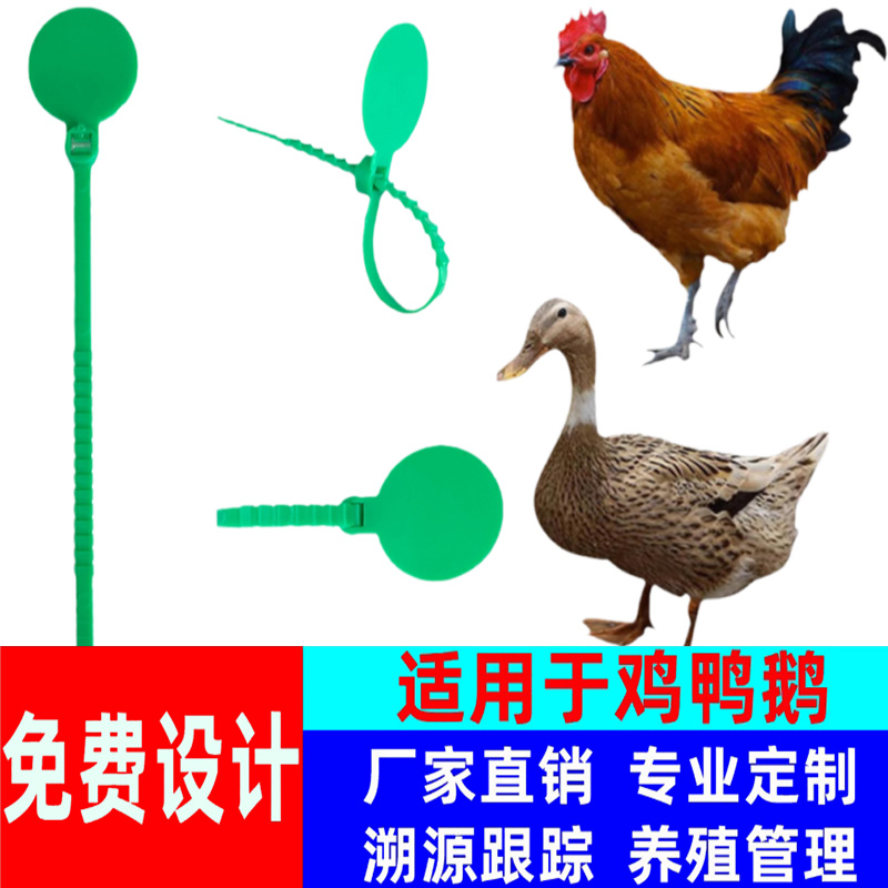 跑步走地鸡脚环扣二维码家禽芦丁鸡鸭鹅脚环脚环一物一码溯源扎带
