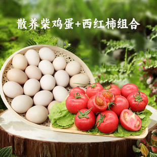密云本地农家种植沙瓤西红柿4斤+农家散养柴鸡蛋40枚番茄鸡蛋组合