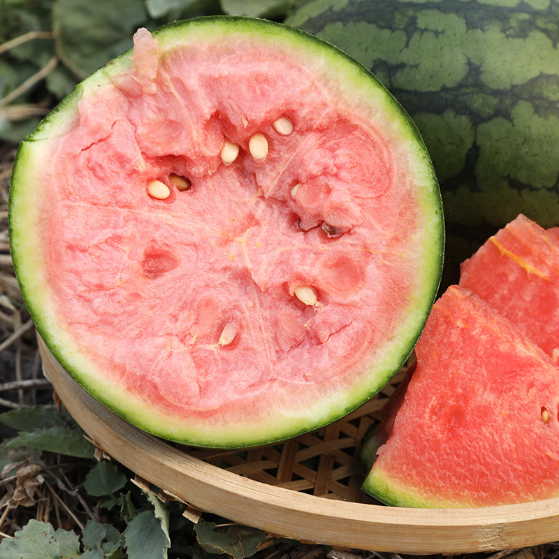 密之蓝天农家种植纸皮小西瓜吊瓜现摘发货脆甜多汁皮薄甜蜜多汁