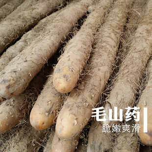密之蓝天北京密云山区种植新鲜粗山药做拔丝山药现刨500g