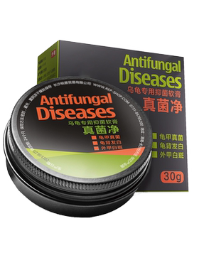 真菌净感染背甲发白半水龟