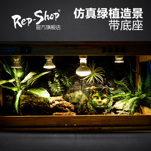 爬虫仿真植物饲养造景生态雨林
