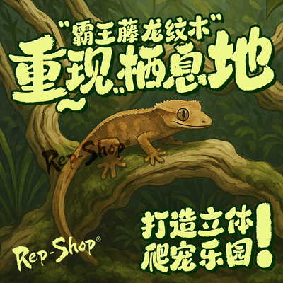 爬宠造景木霸王藤木树蛙鬃狮蛇睫角守宫攀爬木树枝雨林缸树栖藤条