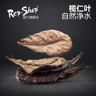 天然乌龟榄仁叶橄榄叶鱼缸水族龙鱼改善水质降酸降ph懒人叶10片装