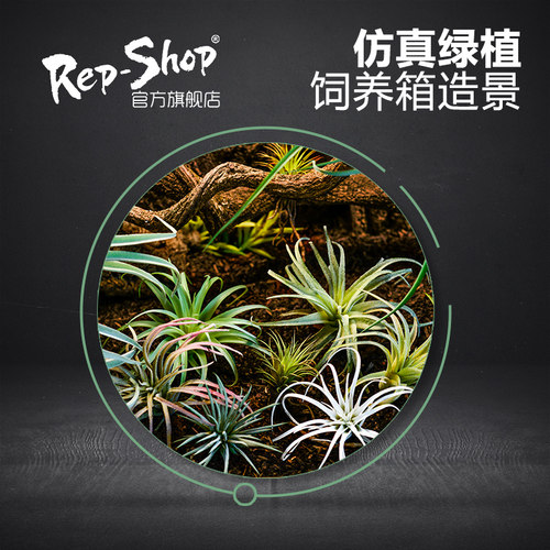 爬虫爬宠高仿真假植物饲养箱造景雨林陆龟蜥蜴变色龙沙漠装饰绿植