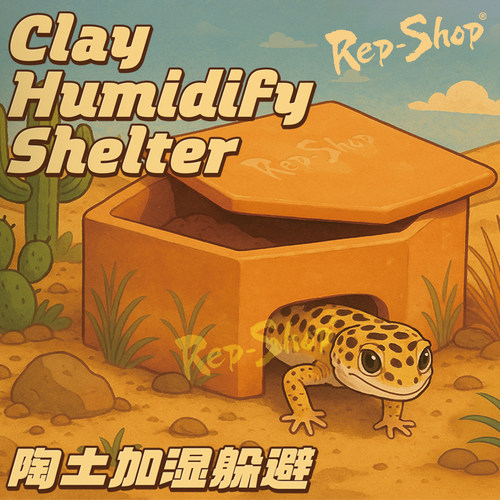 爬宠加湿躲避持久保湿阴凉舒适