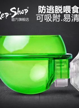 CM树栖爬虫防逃逸变色龙食盆吸盘睫角喂食器挂壁双层星球ABS