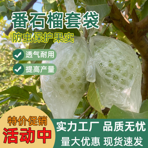 加厚番石榴套袋防虫专用一体网袋