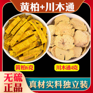 黄柏川木通中药材正品组合黄柏6克木通4g男士煮水泡喝官方旗舰店