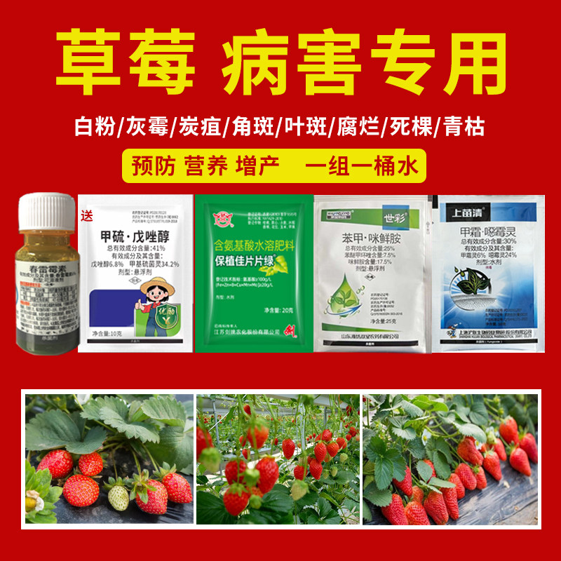 草莓病害专用套餐白粉病灰霉炭疽角斑叶斑病防根腐营养增产杀菌剂