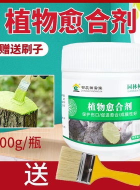 植物伤口愈合剂树枝修复膏果树封口胶涂膜剂愈合膏大树伤口涂抹剂