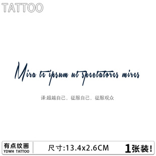 拉丁文超越自己 草本纹身贴防水男女持久手臂tattoo半永久高级感