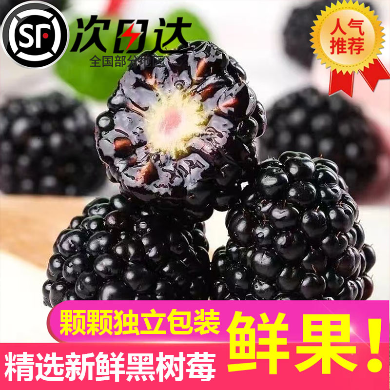 当季云南新鲜黑树莓怡颗莓覆盆子网红水果孕妇独立包装顺丰包邮整