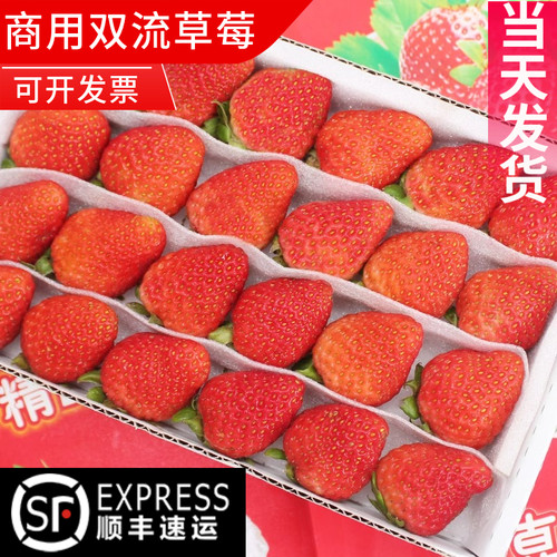 【草莓热销榜推荐】顺丰包邮