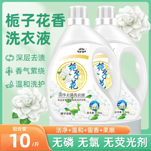 栀子花洗衣液瓶装 学生宿舍香氛 香味持久留香1 10斤去渍家庭装