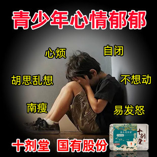 十剂堂昼乐夜安舒缓解青少年忧虑抑郁焦虑睡眠药食同源中药去除