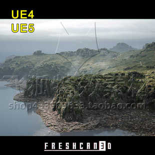 Island 包更新 UE5岛屿场景 4x4 Landscape Northern Pack