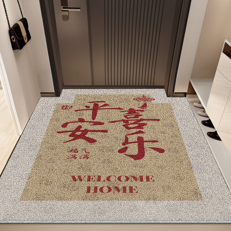 入户门丝圈地垫2025新款耐脏防滑