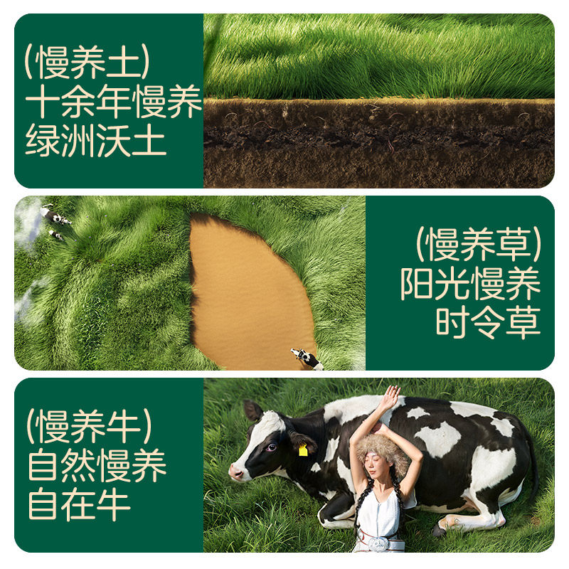 圣牧209-32有价券 - 线报酷