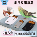 训鸟食盒虎皮鹦鹉牡丹玄凤上手训练饲料盒道具喂食器互动神器