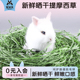 宠尚天2025年新晒干提摩西草荷兰猪饲料龙猫兔粮提莫干草兔子牧草