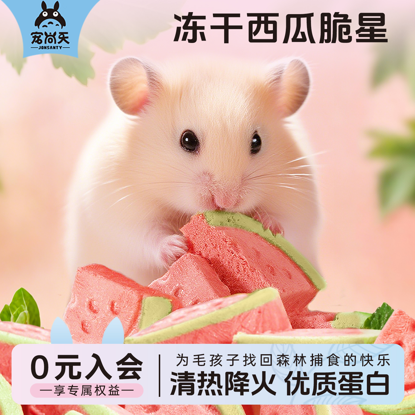 仓鼠冻干小零食金丝熊造景