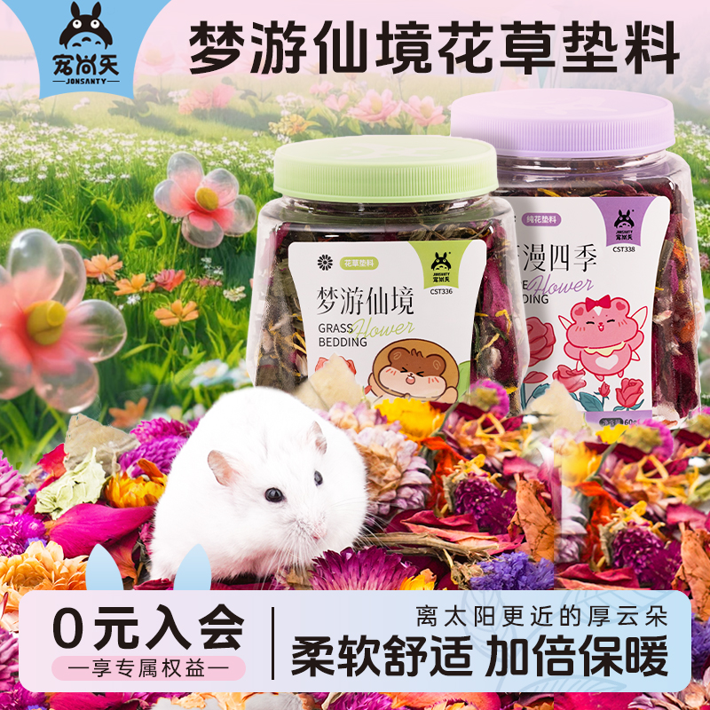 宠尚天花草垫料金丝熊造景可食用