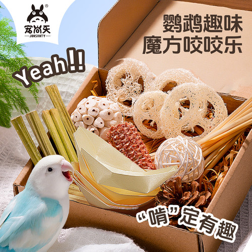 宠尚天鹦鹉藤球啃咬玩具觅食训练陪伴磨牙互动玄风虎皮鸟用品大全