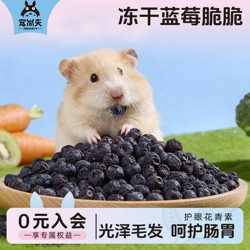 宠尚天仓鼠冻干蓝莓鲜果粮食金丝熊专用零食大礼包侏儒鼠营养用品