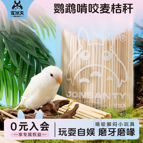 宠尚天鹦鹉玩具磨牙娱乐啃咬棒