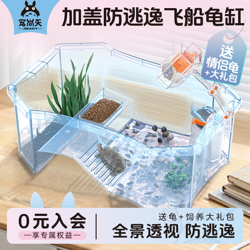 送小乌龟2只小乌龟缸带晒台
