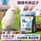 宠尚天鹦鹉零食油葵瓜子玄凤虎皮牡丹吃 鸟粮用品训练奖励饲料