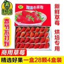 草莓新鮮水果烘焙蛋糕茶飲雙流鮮草莓時(shí)令夏季 四季 酸草莓同城水果